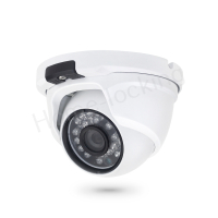Home-Locking ip-camera dome met SONY ship  POE 3.0MP. C-1219